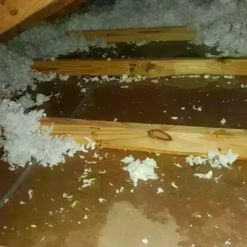 Attic Water Damage in Versailles, IN